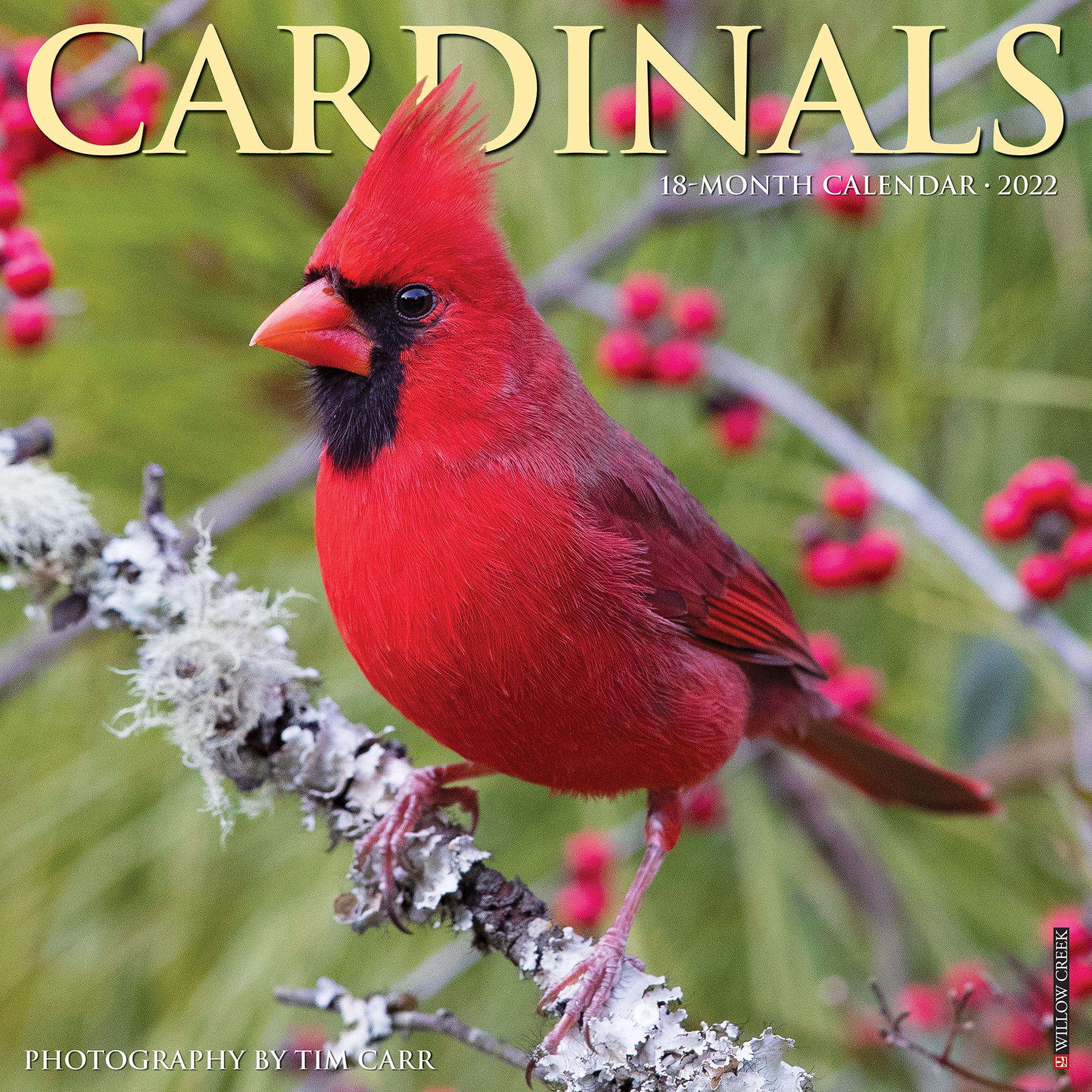 Willow Creek Christmas Schedule 2022 Willow Creek Press Cardinals 2022 Wall Calendar (Birds) - Walmart.com