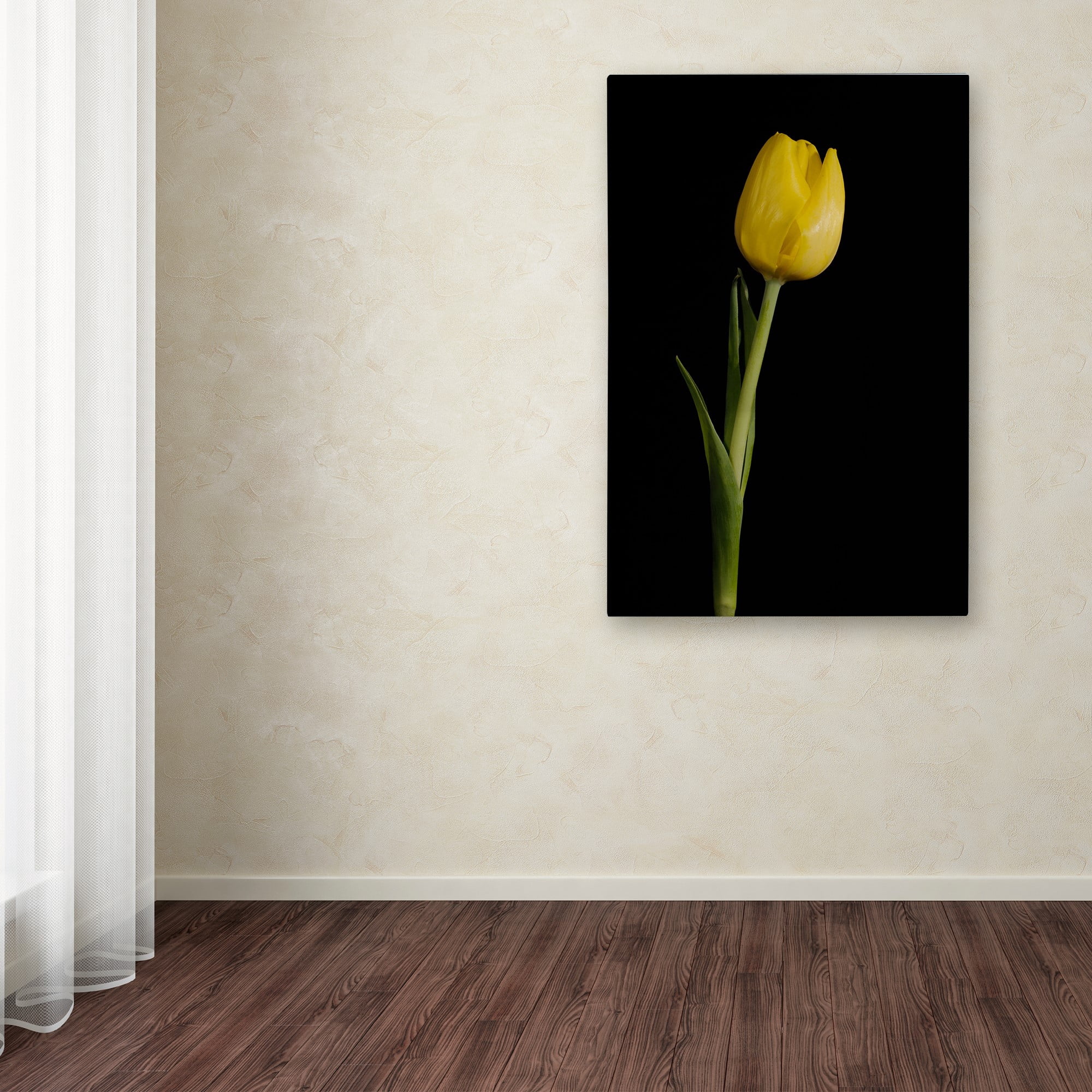 Trademark Fine Art 'Yellow Tulip Black Background 5' Canvas Art by PIPA Fine Art