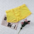 thumbnail image 5 of Men Mesh Boxer Briefs Thin Low Waist Transparent Underwear Pouch Panties, 5 of 9
