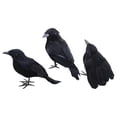 thumbnail image 3 of Decoración de cuervos de Halloween Macarena cuervos con plumas negras, 3 of 8