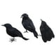 thumbnail image 3 of Cuervos con plumas negras de Halloween, decoración de cuervos artificiales aterradores hechos a mano de aspecto realista para fiestas, eventos, hogar, combinado, 3 of 8