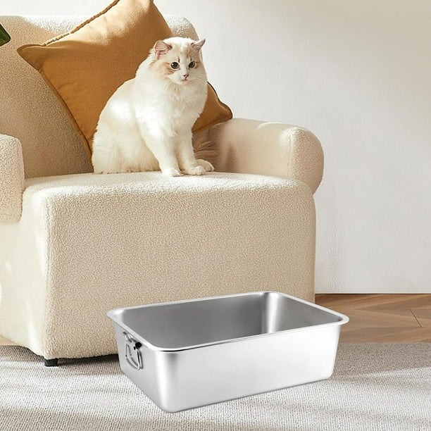 Holgate litter box 2025