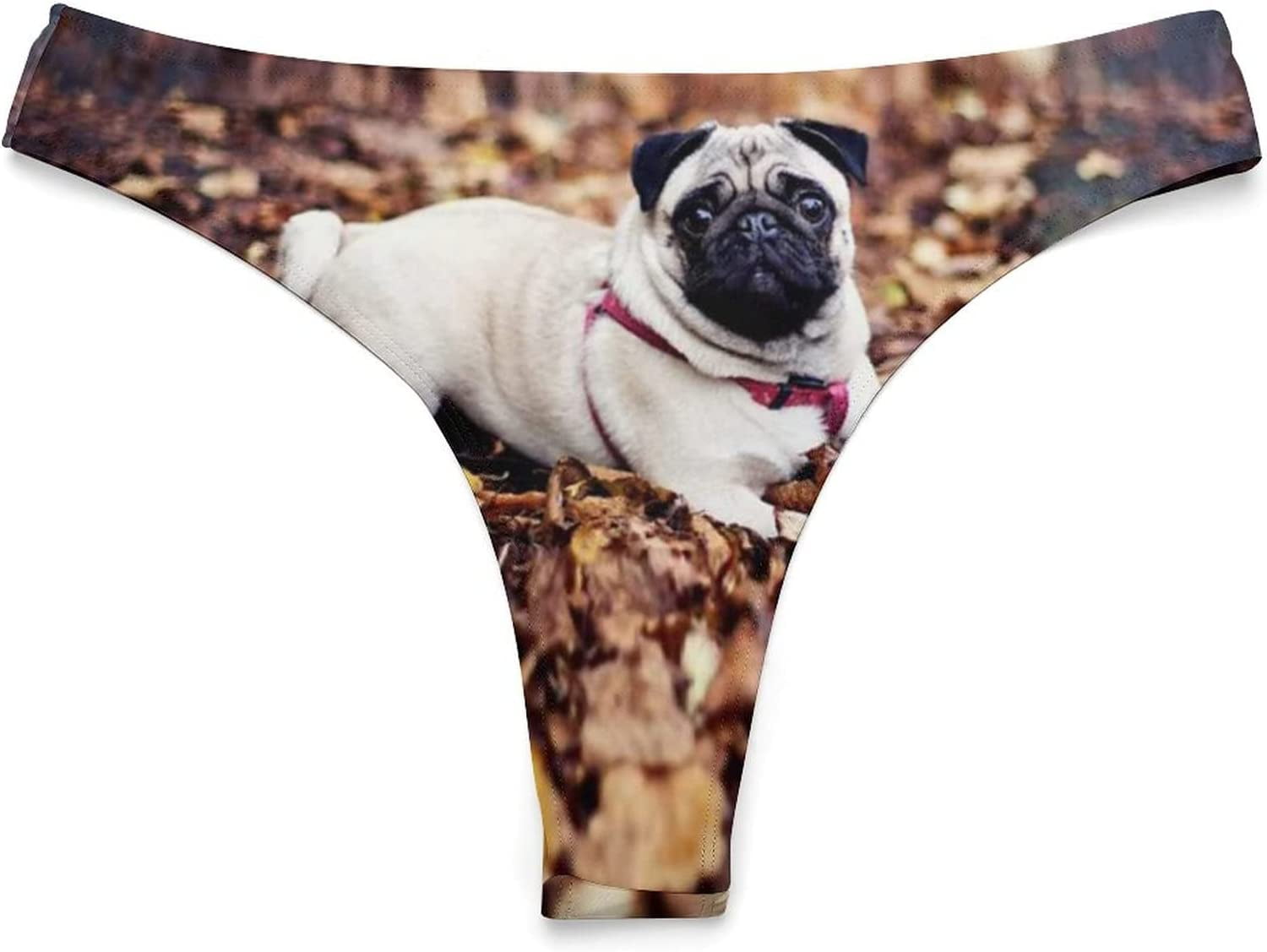 Exotic Dog Wild Animal Pattern G-String Thongs Low Waist T-Back Soft  Invisible Panties Sexy Underwear for Women : : Clothing, Shoes 