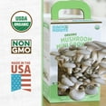 thumbnail image 3 of Back to the Roots Organic Pearl Oyster Mushroom Mini Grow Kit, for Indoor Gardening and Cooking, 3 of 9