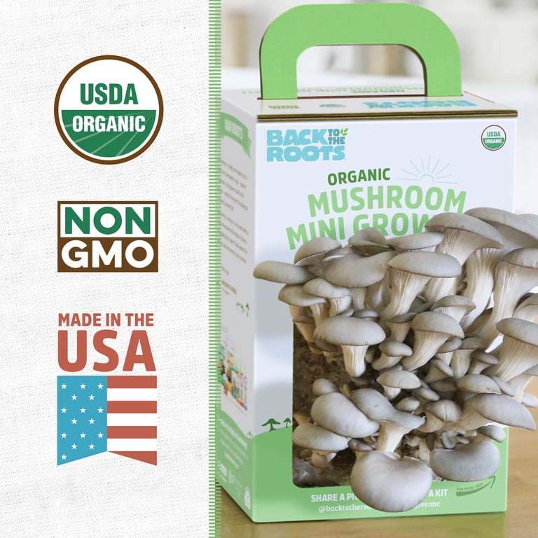 Back to the Roots Organic Pearl Oyster Mushroom Mini Grow Kit