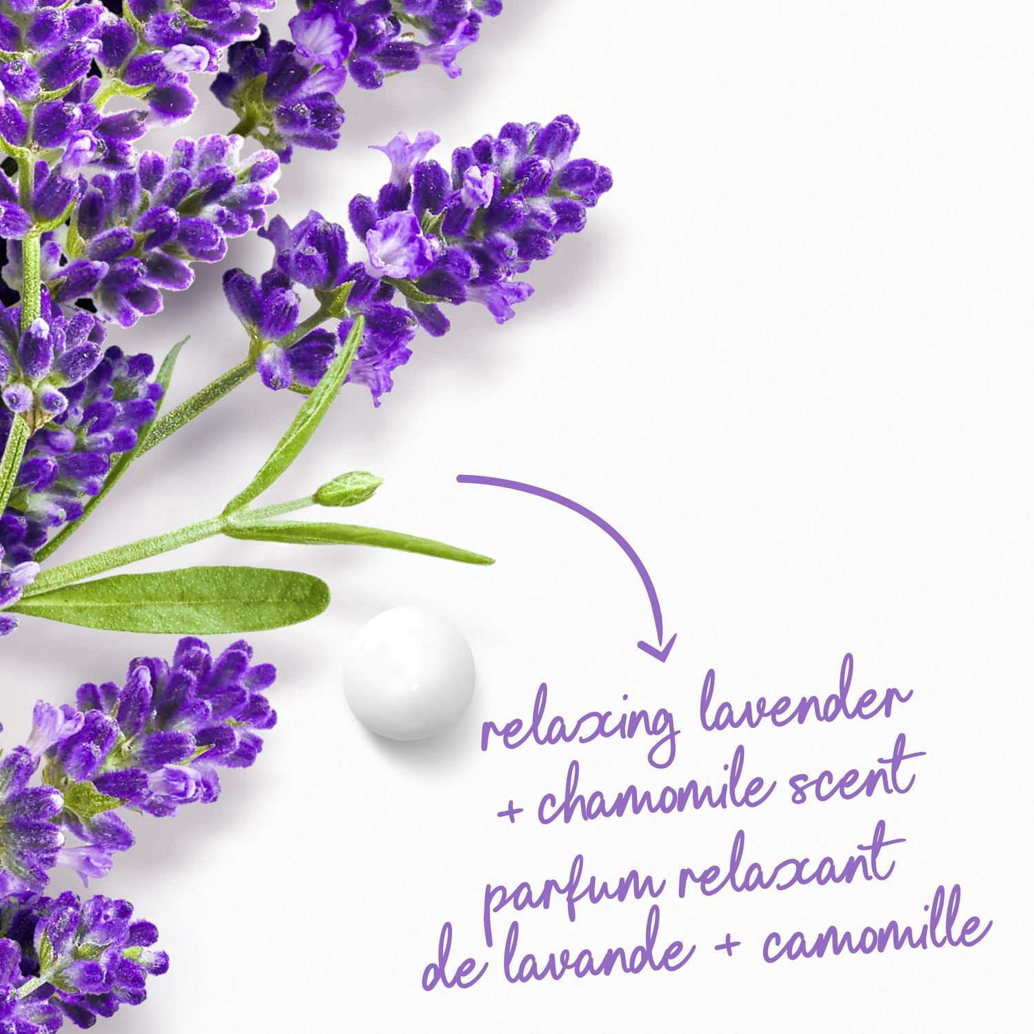 Dove Body Wash Relax Lavender Oil & Chamomile 24hr Moisturizing Skin Cleanser for Lotion-Soft Skin