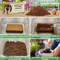 thumbnail image 3 of Legigo 12 Pack Premium Coco Coir Brick for Plants- 100% Organic Compressed Coconut Coir Bricks Starting Mix, Coco Coir Fiber Coconut Husk for Planting, Gardening, Potting Soil Substrate, Herbs, 3 of 7