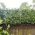 thumbnail image 2 of HLONK 4-Panel Nature Willow Expandable Trellis - Double Panel 36x92 Inch Sturdy Wicker Plant Support for Climbing Plants  Roses  Vines - Durable Outdoor Garden Fence with Easy Installatio, 2 of 5