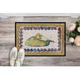 thumbnail image 2 of Pelican  Door Mat, Indoor Rug or Outdoor Welcome Mat 24x36 Doormat 8053 Doormat, 2 of 4