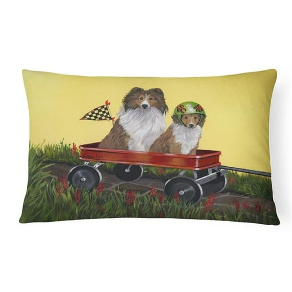 12 x 3 x 16 in. Sheltie Sheepdog Express Canvas Fabric Decorative Pillow