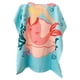 thumbnail image 5 of Ounissouiy Toalla de baño, capucha de baño, toallita para chico, accesorios para el hogar, suministros de baño, equipo de natación, toallas de playa de Cocina y Comedor Tipo 3 Ounissouiy HA045527-03, 5 of 6