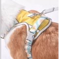 thumbnail image 3 of Arnés De Pecho Reforzado Para Perros Pequeños, Medianos Y Gr, 3 of 6