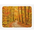 thumbnail image 1 of Fall Bath Mat, Deciduous Trees with Seasonal Leaves Pathway Wilderness Woodland Image, Non-Slip Plush Mat Bathroom Kitchen Laundry Room Decor, 29.5 X 17.5 Inches, Orange Pale Green Brown, Ambesonne, 1 of 2