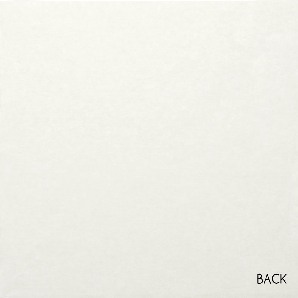 SEI Velvet Paper 12 inch x 12 inch, 12 Sheets, Asparagus