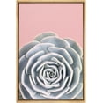 thumbnail image 3 of PixonSign Framed Canvas Print Wall Art Atlantis Succulent on Pink Background Nature Plants Photography Realism Modern Scenic Colorful Green Pastel for Living Room, Bedroom, Office - 16"x24" Natural, 3 of 5
