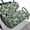 Green Camouflage, variant on Garronmavis Reindeer Print Golf Cart Seat Cover Replacement Polyester Golf Cart Elastic Seat Covers for All Seasons Breathable Decor Accessiores Universal Fit All Brand