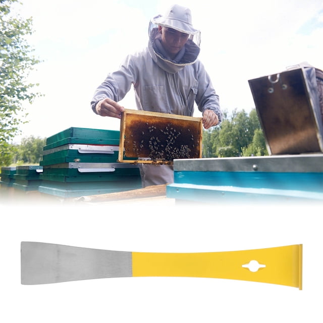 Equipo de apicultura, Cortador de Miel Portátil de Acero inoxidable de acero inoxidable anti -óxido para el marco de abejas para apicultores