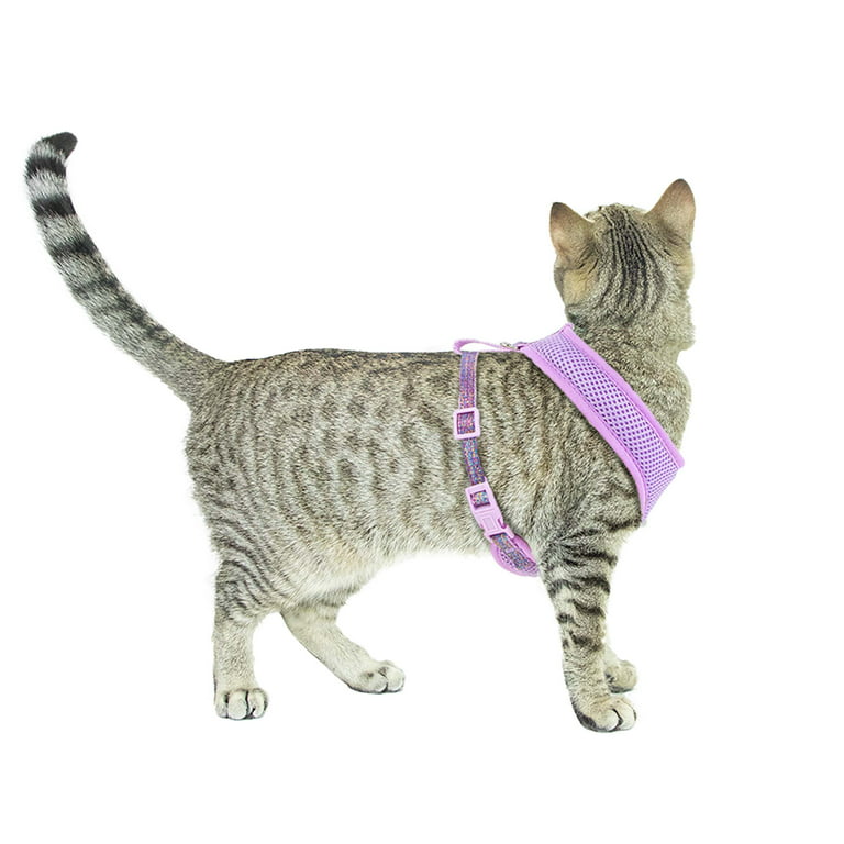 Vibrant Life Polyester Sparkle Walking Cat Harness and Leash Set, Purple,  One Size (12 to 16 Chest Size)