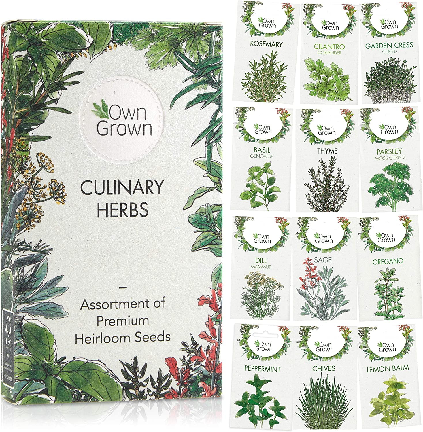 Herb Garden Seeds > 8,000 Premium Herb Seeds, Variety Pack (12x) for