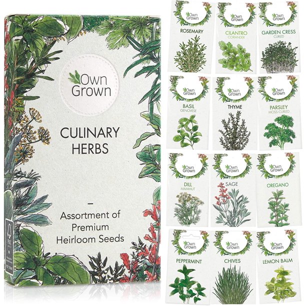 Herb Garden Seeds > 8,000 Premium Herb Seeds, Variety Pack (12x) for