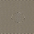 thumbnail image 1 of Ahgly Company Machine Washable Indoor Square Transitional Midnight Gray Area Rugs, 4' Square, 1 of 7