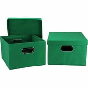 Alexis Storage Bin with Lid (Set of 2), Kelly Green