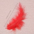 Feathers for Crafting 100pcscolorful Feathers for Diy Craft Wedding
