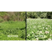 Whitetail Institute Slay Herbicide-4 Oz