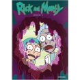 thumbnail image 1 of Rick & Morty: Season 4 (DVD), 1 of 1