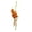 Squirrel, variant on Creative Resin Animal Figurine, Climbing Animal Figurine, Climbing Tree Statues, Squirrel