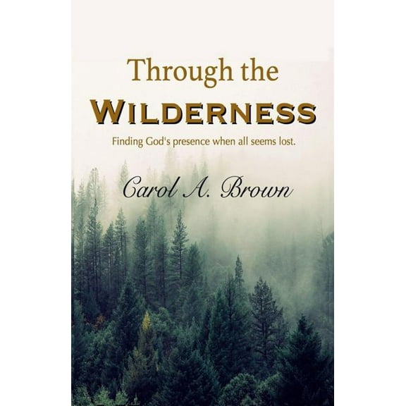 Through The Wilderness: Finding God's presence when all seems lost., (Paperback)