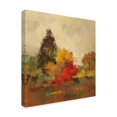 thumbnail image 2 of Trademark Fine Art 'Fall Forest I' Canvas Art by Silvia Vassileva, 2 of 3