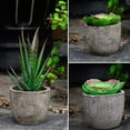 thumbnail image 4 of Trianu 14 Pcs Artificial Succulents Plants Unpotted Green Hops String of Pearls Echeveria Air Plant Picks Fake Succulents Bulk for Succulent Garden Arrangement Centerpiece Indoor Outdoor Home Decor, 4 of 9