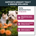 thumbnail image 2 of Cranberry Urinary Tract Support Drops for Cats and Dogs – Kidney & Bladder Wellness Supplement Drops - Supports Urinary Comfort & Normal Urine Flow, 2 of 7