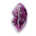 thumbnail image 1 of Bloc Réfrigérant pour Lèvres, Paquets de Gel en Forme de Lèvres, Compresse Chaude et Froide Réutilisable, Soulage la Douleur et Relaxe les Lèvres, pour Soin des Lèvres Cadeau pour Fille Femme, 1 of 7