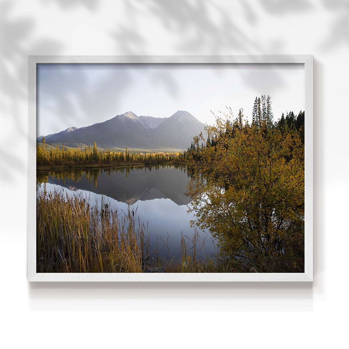 Low Light on Vermillion by Carol Robinson - Restickable Framed Giclée Print