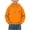 02-Orange, variant on Atogsazn Toddler Baby Boys Fleece Hoodies Kids Dinosaur Print Long Sleeve Hooded Sweatshirt Fall Winter Tops Clothes Orange 2-3 Years Fashion