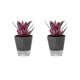 thumbnail image 1 of Macetas sin riego Macetas autoabsorbentes Macetas suculentas de orquídeas de balcón de plástico, 1 of 13