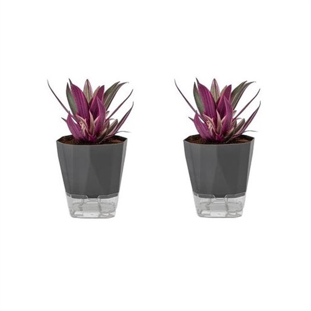 Macetas sin riego Macetas autoabsorbentes Macetas suculentas de orquídeas de balcón de plástico
