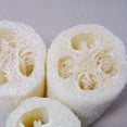 thumbnail image 7 of Bueautybox Natural Loofah Exfoliating Bath Sponge Gourd Sponge Bath Rub Dishes Cleaning Exfoliating Scrubber Tool by Spa Destinations Natural Renewable Resource., 7 of 7