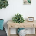 thumbnail image 2 of Nearly Natural 20in. Mixed Ficus and Fittonia Artificial Ledge Plant C38, 2 of 4