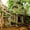 Ta Prohm Temple, variant on Elephant Stock Ta Prohm Temple Wall Art - Horizontal Canvas Wall Art - Living Room Wall Decor - Religion And Spirituality Canvas - Gray And Brown Decor - 12" x 8"