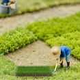 thumbnail image 4 of COOPHYA Miniature Landscape Decoration Mini Plant Tuft Nylon Versatile Decoration Indoor Decoration 1Set, 4 of 6
