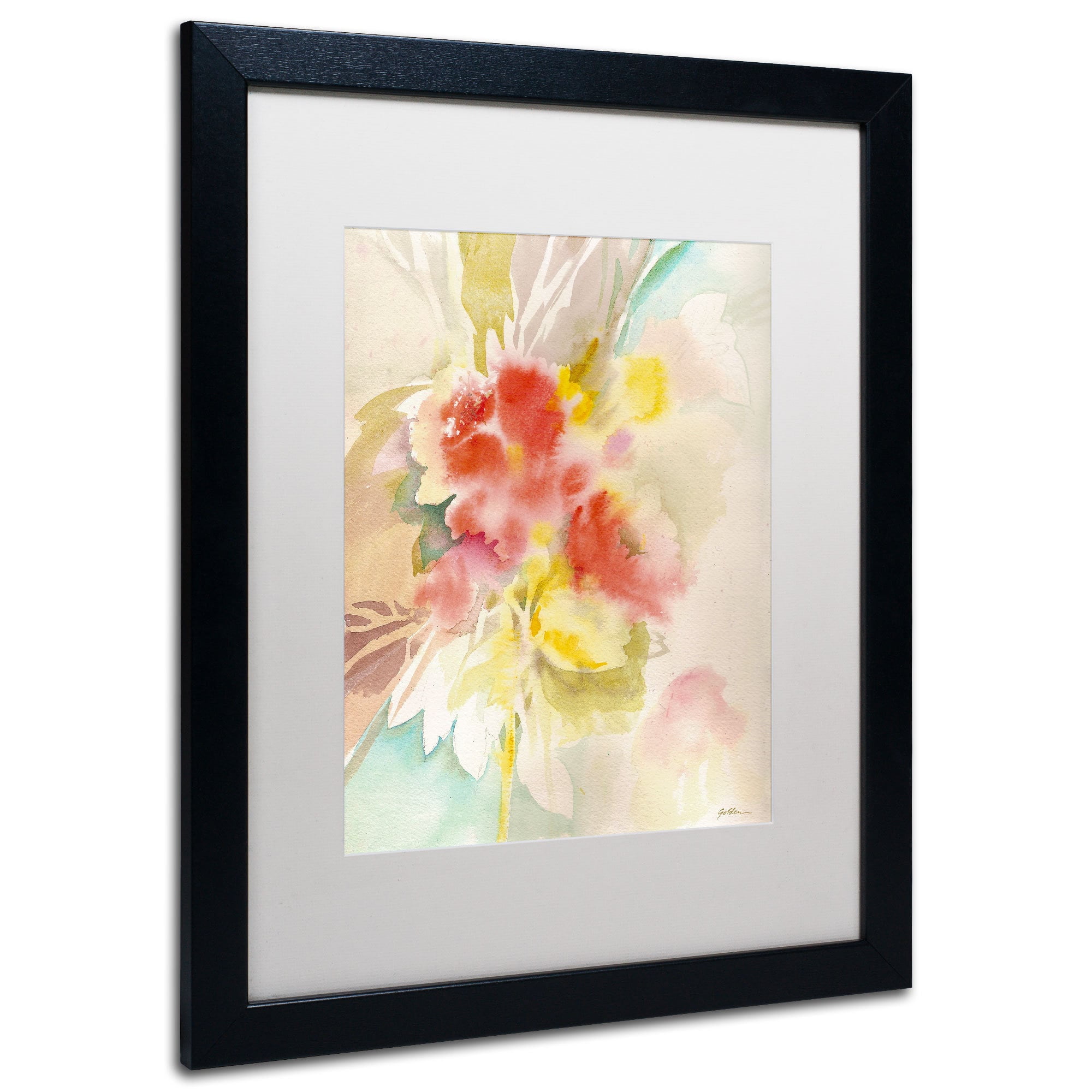 Trademark Fine Art "Red Flower Shadows" Canvas Art by Sheila Golden, White Matte, Wood Frame