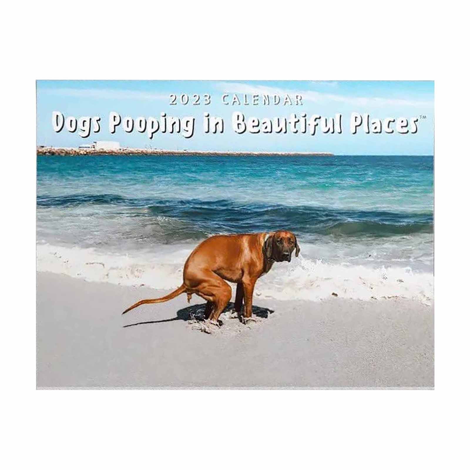 2023 Wall Calendar Funny Dog Calendar 2023 Dog Poop Calendar Prank Gifts  Diet Calendar 2022 Large Wall Desktop Calendar 2022-2023 2022 Sunflower  Wall Calendar Desk Calendar 2022 Women 2022 Calendar - Walmart.com