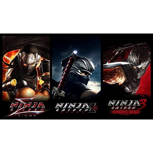 Ninja Gaiden: Master Collection Trilogy (Nintendo Switch) [IMPORT