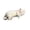 Cat # Light Tabby Cat, variant on Realistic Sleeping Cat Stuffed Plush Pillow, Lifelike Kitten Decor Cushion, 15.74in Cat Style Animal Shaped Sofa Ornament (# Cat A# Siamese Cat)