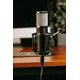 thumbnail image 4 of Tragaluz con micrófono XLR de condensador para estudio, 512, audio y accesorios, 4 of 7