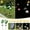 Pink-82, variant on Solar Lights Outdoor Garden Decorations,Waterproof Solar Pathway Yard Lights,Solar Lights Simulate Outdoor Courtyard Garden LED Lawn-Lights-Landscape