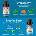 thumbnail image 3 of GuruNanda Essential Oils Set of 6  Blended Scents for Aromatherapy and Diffusers, 100% Pure and Natural, 10 mL Each, 3 of 8